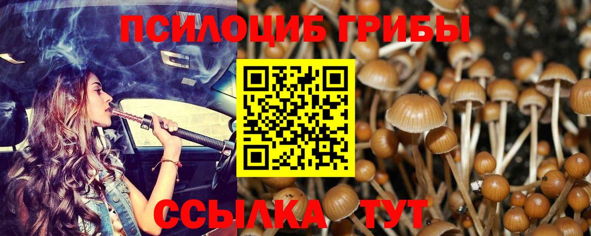 Псилоцибиновые грибы ЛСД Королёв