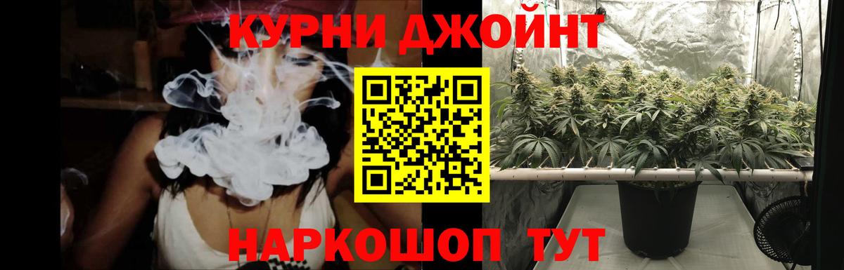 Королёв  МАРИХУАНА семена  Вход с VPN  Марихуана Amnesia 